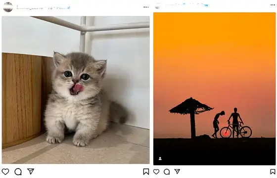 Instagram 照片下載