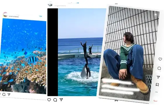 Λήπτης Reels Instagram